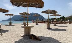  Franceschini, 2 miliardi per il turismo. Liguria, spiagge aperte dal 18