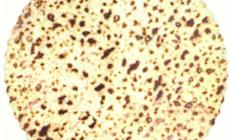 &laquo;Matzah&raquo;, ovvero il pane azzimo: solo acqua e farina, da tradizione