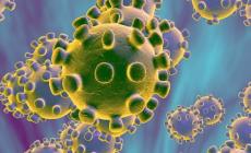 Coronavirus, nasce il super archivio dei pazienti 