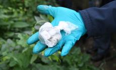  Controlli antidroga nei borghi dell'Oltretorrente e al  parco Falcone Borsellino  - Foto 