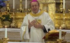 Monsignor Solmi: "Lo Spirito Santo consolazione di chi soffre"  - Video 