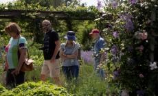 Visite al Bosco Spaggiari e al Davines Village