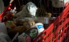 Stop bonus spesa, il Comune di Parma vara la fase due per gli aiuti alimentari - Video