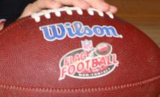 Giovani Panthers insultati lasciano il campo