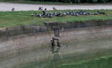 Guasto alle pompe, acqua bassa nel laghetto del Parco Ducale