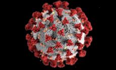 Covid, parla (anche) parmigiano il dispositivo che neutralizza il virus al chiuso