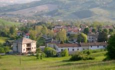 Cagnolino sbranato da un lupo sotto gli occhi dei padroni