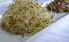 Ricetta del giorno - Insalata con pinoli e mela