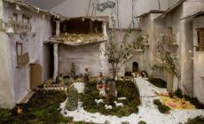 Natale a Parma, scuola per scuola