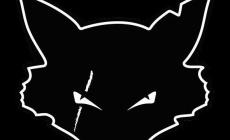 Transylvania + Megawatt in concerto
