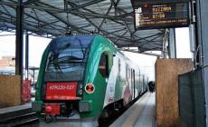 Malmena il capotreno e il macchinista. Fatto scendere a Sorbolo, prende a sassate i vagoni