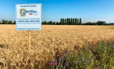 La nuova campagna del Mulino Bianco firmata da Gabriele Mainetti