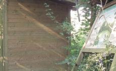 Benecchi:  &laquo;Parma Morta degrado inaccettabile&raquo;