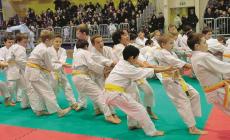Kyu Shin Do Kai, la carica dei trecento