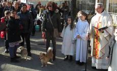 Sant'Antonio, domenica la festa