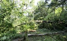 La tromba d'aria ha devastato anche il parco della Villa di Verdi