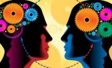 Trent'anni fa la scoperta parmigiana che ha rivoluzionato le neuroscienze
