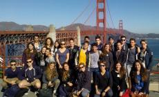 California Dreaming:  dall'Ulivi a San Francisco 