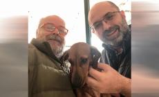 Farmaci veterinari, via libera alla vendita dei singoli blister