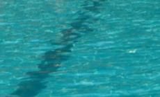 Cade nella piscina del b&b, ancora grave bimbo di tre anni