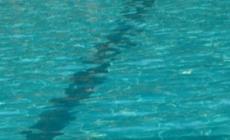 Ragazzo di 16 anni annega in una piscina