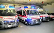 Punta dai calabroni mentre è nel frutteto e in pericolo di vita: salvata dal 118