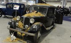 Oltretorrente in festa e poi birra, "Mercante" e... pecore: l'agenda del sabato