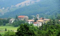 Cinghiali a spasso fra le case: a Terenzo cresce l'allarme 