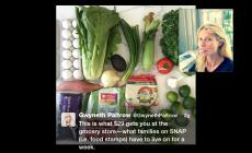 La provocazione di Gwyneth: 7 giorni con 29$