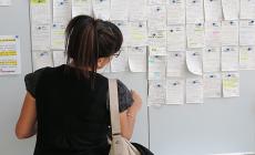 Quarantasette offerte per chi cerca un lavoro