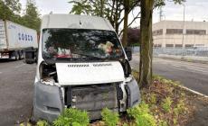 Quei rottami di auto trasformati nel trilocale della disperazione