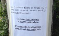 L'allarme: morti "sospette" di animali a Eia