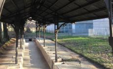 Il tempio delle lavandaie nel cuore di San Lazzaro