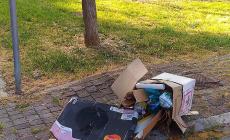 'Degrado e sporcizia in via Provesi' - Foto