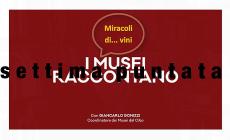  I Musei raccontano: Miracoli di... Vini