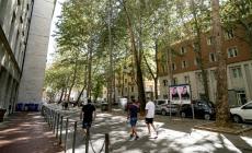 Via Verdi: cresce la protesta, centrodestra all'attacco