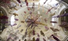 Il Florilegium di Rebecca Louise Law «sboccia» nel segno di Pharmacopea