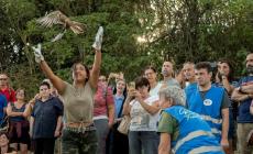 La cerimonia di liberazione dei rapaci: emozione a Cevola