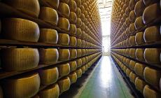 L'export alimentare vola e il Covid non lo fermerà 