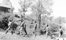 Fascismo, guerra e Resistenza nel Parmense
