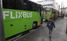 FlixBus riparte in Italia  Gli autobus verdi di nuovo operativi il 3 giugno