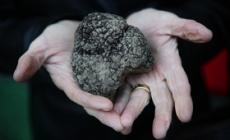 Tartufi, castagne, cioccolato...