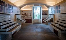 Nuovo Museo del fungo, come entrare in un bosco incantato