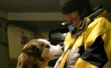 Ivano Ponzini: «Il mio viaggio in Lapponia per portare a casa il cane Thompson al suo papà Claudio De Ferrari»