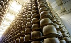 Centinaia di prosciutti e forme di Parmigiano razziate in pochi mesi: ricettatore condannato