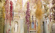Rebecca Louise Law conquista Parma con 200mila fiori: mostra prorogata fino al 19 dicembre
