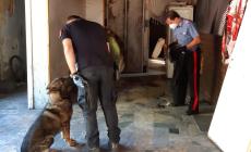 Irruzione con i cani nella pizzeria diventata ghetto