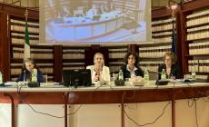 Cavandoli: «Serve una riforma globale sul sistema degli affidi»