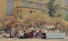 Discarica abusiva nell'ex Bertanella