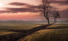 Foto di natura di Ghizzi Panizza a Busseto
